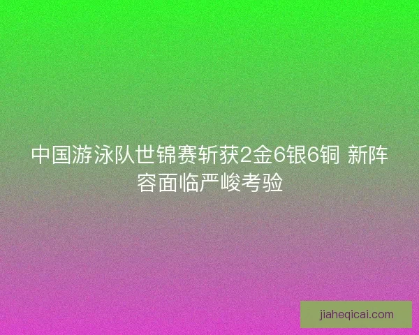 中国游泳队世锦赛斩获2金6银6铜 新阵容面临严峻考验