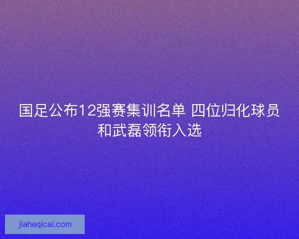 国足公布12强赛集训名单 四位归化球员和武磊领衔入选