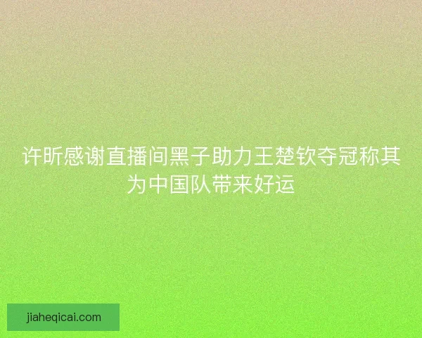 许昕感谢直播间黑子助力王楚钦夺冠称其为中国队带来好运